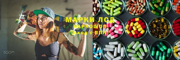 PSILOCYBIN Бородино