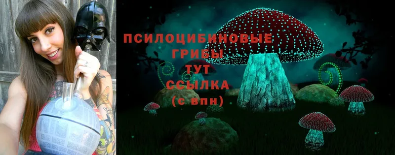 Псилоцибиновые грибы MAGIC MUSHROOMS  hydra зеркало  Ижевск 