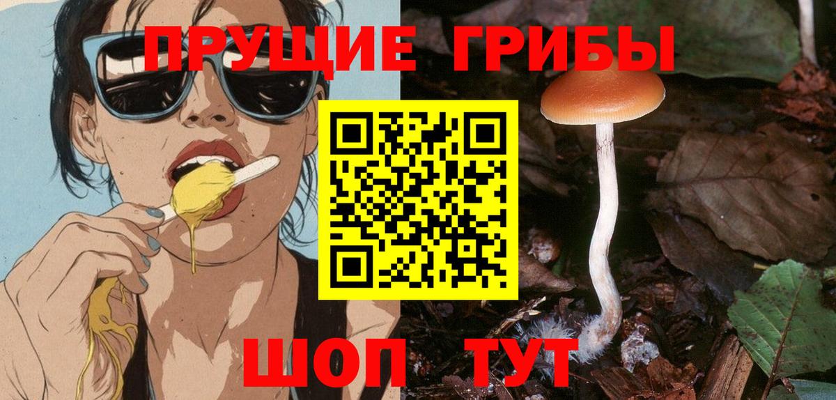 Псилоцибиновые грибы мицелий Ижевск