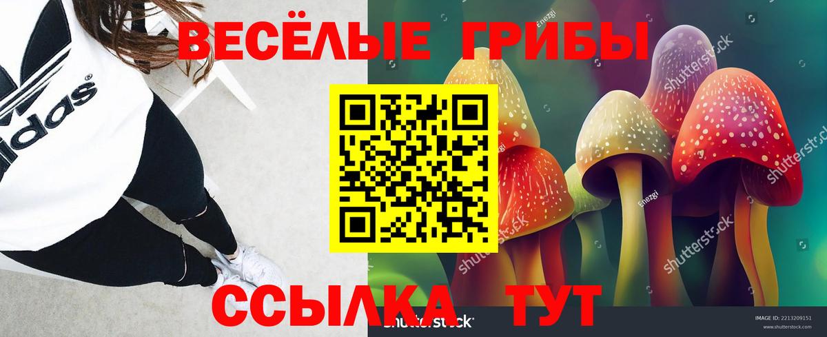 Ижевск  Галлюциногенные грибы Psilocybine cubensis  Псилоцибиновые грибы Magic Shrooms  Вход с VPN 