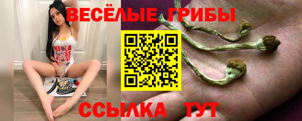 Галлюциногенные грибы мицелий  Ижевск 