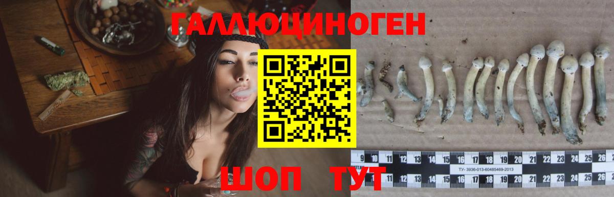 Псилоцибиновые грибы GOLDEN TEACHER Ижевск