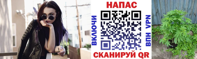 купить Ижевск Бошки марихуана тримм